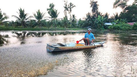 Vuông tôm Miệt Thứ vào vụ