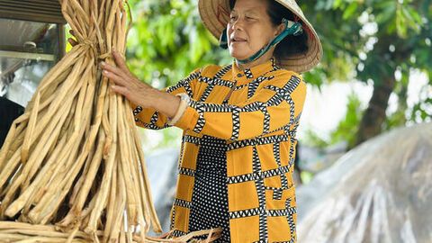 Hòa Thuận phát triển từ nền tảng nông nghiệp