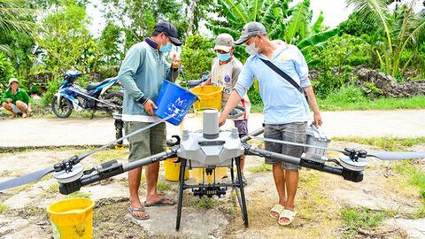 Ăn nên làm ra nhờ lúa cao sản