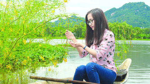 Nhớ mùa điên điển vàng bông