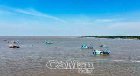 Tổ đội đoàn kết điểm tựa giữa biển khơi