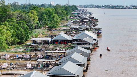 Cù lao Ông Hổ mùa nước nổi