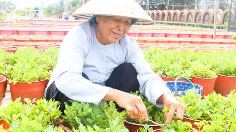 Gieo mầm sắc xuân, ước hẹn mùa vàng