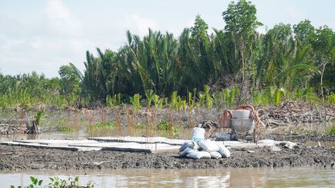 UBND An Giang ban hành 2 quyết định cưỡng chế khắc phục hậu quả vi phạm đất đai tại đầm Đông Hồ