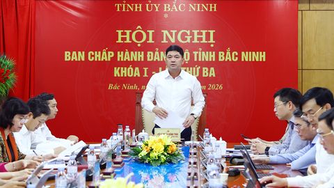 Ban Chấp hành Đảng bộ tỉnh Bắc Ninh cho ý kiến vào dự thảo 5 chương trình, dự án quan trọng
