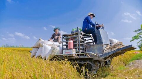 Xã Vĩnh Điều phấn đấu thu nhập bình quân đầu người đạt 72 triệu đồng/năm