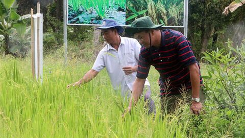 Tạo nguồn đảng viên vùng đồng bào dân tộc