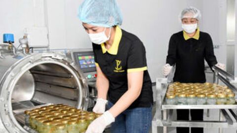 An Giang “chắp cánh” phát triển nghề yến