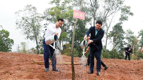 Bí thư Tỉnh ủy Nguyễn Hồng Thái dự Tết trồng cây tại xã Yên Thế