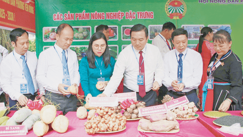 Hội Nông dân tỉnh Bắc Ninh: Tiên phong, sáng tạo, tự tin  bước vào kỷ nguyên mới