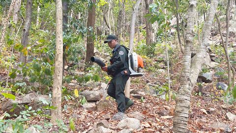 Nâng cao hiệu quả công tác quản lý, bảo vệ rừng