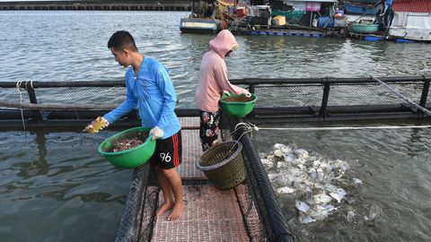 Kiến tạo đột phá từ biển