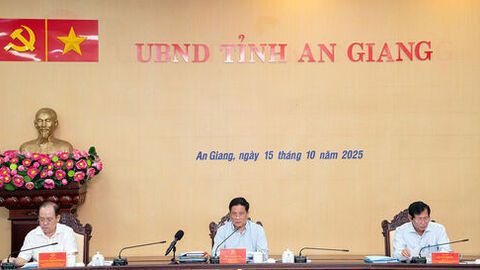 Thành viên UBND tỉnh cho ý kiến nhiều nội dung thuộc thẩm quyền