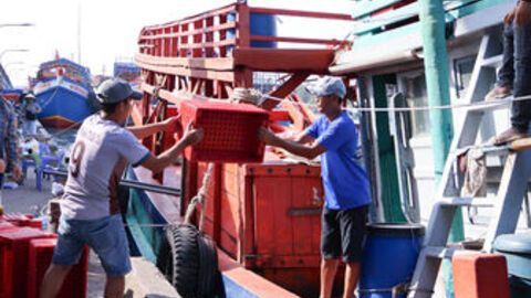 Chuyến biển cuối năm