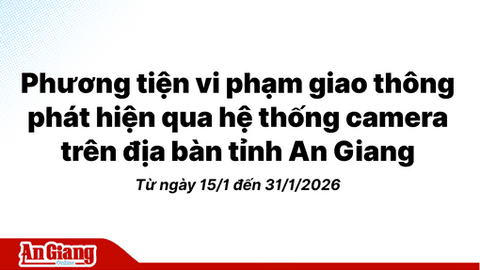 Phương tiện vi phạm giao thông phát hiện qua hệ thống camera trên địa bàn tỉnh An Giang từ ngày 15/1 đến 31/1/2026