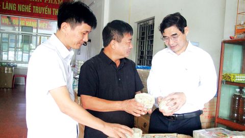 Đảng bộ xã Nam Dương: Bám sát thực tiễn, tạo chuyển biến trong sinh hoạt chi bộ