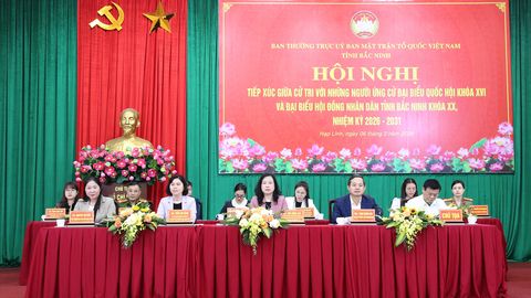 Ứng cử viên đại biểu Quốc hội và HĐND tỉnh tiếp xúc cử tri tại đơn vị bầu cử số 4, số 11 và số 14