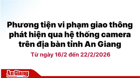 Phương tiện vi phạm giao thông phát hiện qua hệ thống camera trên địa bàn tỉnh An Giang từ ngày 16/2 đến 22/2/2026