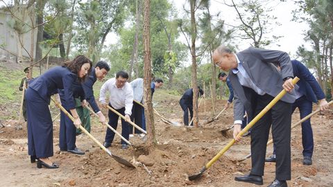 Phó Bí thư Thường trực Tỉnh ủy Nguyễn Thị Hương dự “Tết trồng cây đời đời nhớ ơn Bác Hồ” tại phường Vũ Ninh