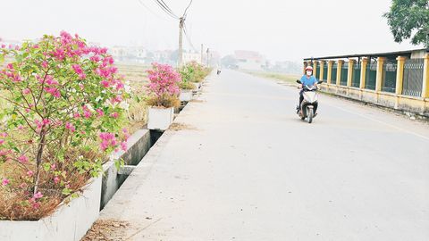 Phú Mỹ - Thôn kiểu mẫu ven dòng sông Đuống