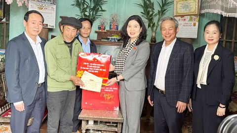 Phó Trưởng Đoàn đại biểu Quốc hội tỉnh Trần Thị Vân tặng quà Tết tại phường Việt Yên