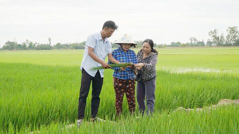 Tân Hội đoàn kết, xây dựng quê hương