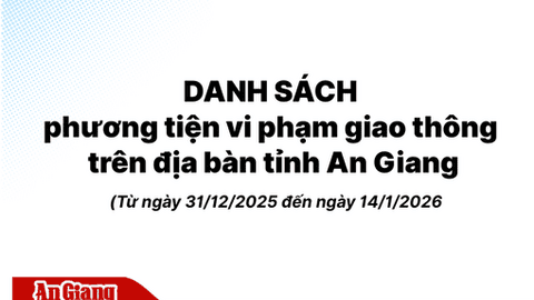 Phương tiện vi phạm giao thông phát hiện qua hệ thống camera trên địa bàn tỉnh An Giang từ ngày 31/12/2025 đến 14/1/2026