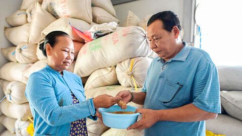 Chính sách đến tận xóm, ấp