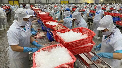 Vững tin vào chặng đường phát triển mới của đất nước