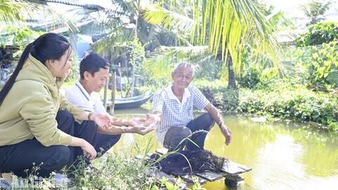 Nữ bí thư chi bộ tận tâm, trách nhiệm