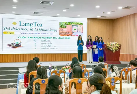 20 dự án tranh tài vòng Bán kết Cuộc thi Khởi nghiệp Cà Mau 2025