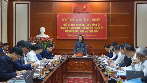 Phó Bí thư Thường trực Tỉnh ủy Nguyễn Thị Hương làm việc với Ban Thường vụ Đảng ủy 2 phường Tam Sơn và Phù Khê