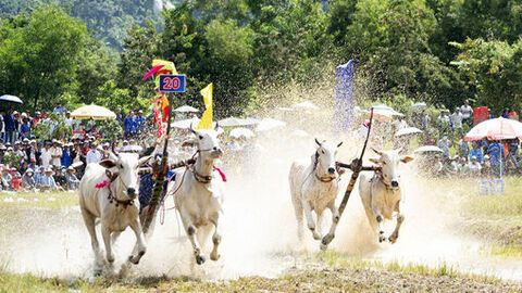 Xây dựng môi trường văn hóa lành mạnh