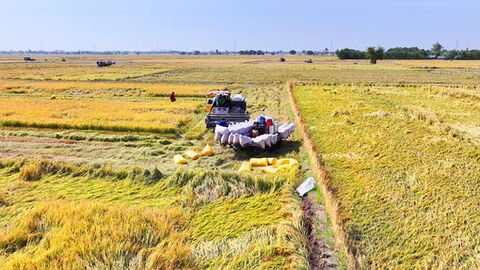 Gieo mầm đoàn kết, gặt hái đồng thuận