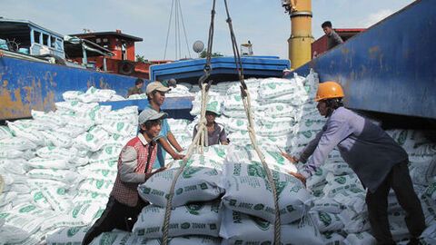 Bài toán tăng giá trị cho gạo Việt