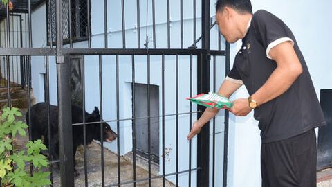 Ngôi nhà dành cho động vật hoang dã