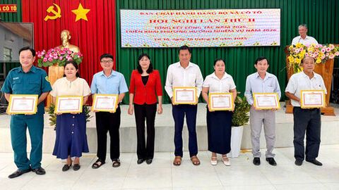 Đảng bộ xã Cô Tô thực hiện đạt và vượt 100% chỉ tiêu nghị quyết năm 2025