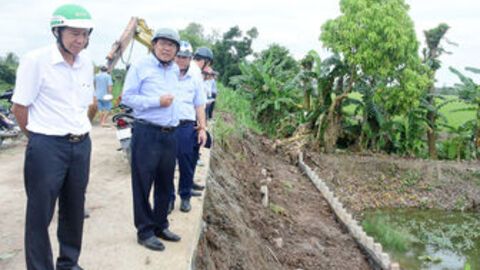 Giữ an toàn vụ lúa thu đông 2025