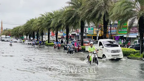 Triều cường tại Cà Mau vượt mức lịch sử