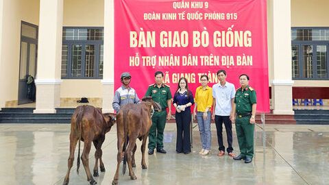Đoàn Kinh tế Quốc phòng 915 bàn giao 100 con bò giống cho người dân xã Giang Thành