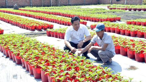 Khi lãnh đạo gần dân, sát việc