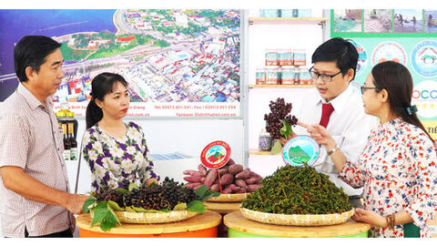 Cầu nối đưa chủ trương vào cuộc sống