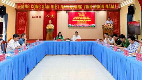 Đảng bộ xã Cô Tô thực hiện đạt và vượt 14/19 chỉ tiêu so tiến độ 6 tháng