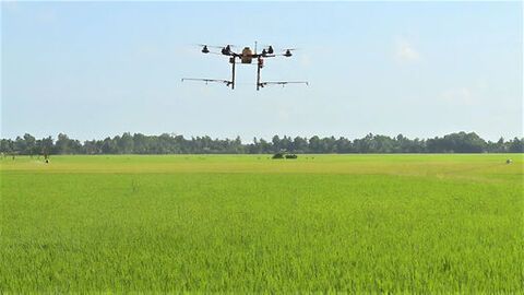 Từ hợp lực đến bứt phá ở Gò Quao