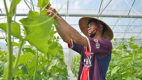 Tạo sinh kế để giảm nghèo