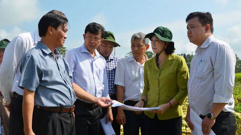 Phó Chủ tịch UBND tỉnh An Giang Nguyễn Thị Minh Thúy khảo sát vị trí xây dựng trường học tại các xã biên giới