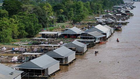 Nuôi cá bè ven sông Hậu