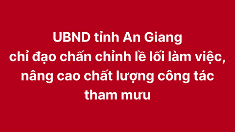 UBND tỉnh An Giang chỉ đạo chấn chỉnh lề lối làm việc, nâng cao chất lượng công tác tham mưu
