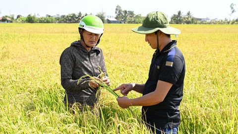 Bình Sơn tập trung thực hiện các khâu đột phá