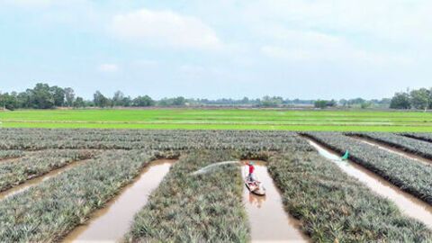 Làm ăn chung để cùng khá